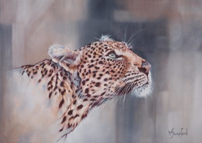 "Ingwe", leopard portrait, oil on canvas, original 600mm x 800mm, by Wendy Beresford