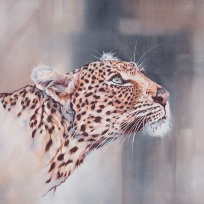 "Ingwe", leopard portrait, print crop 1:1 aspect ratio, original oil painting by Wendy Beresford