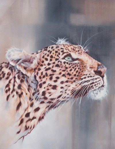 "Ingwe", leopard portrait, print crop 1:1 aspect ratio, original oil painting by Wendy Beresford