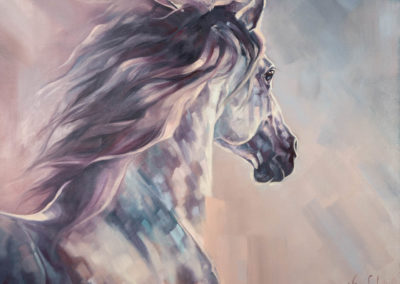 "Fire and Ice", oil painting on canvas of grey Andalusian horse by Wendy Beresford