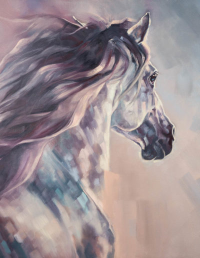 "Fire and Ice", oil painting on canvas of grey Andalusian horse by Wendy Beresford