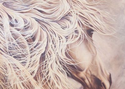 "Hero", oil on canvas, portrait of grey horse, by Wendy Beresford