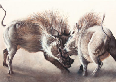 "Show Me Your Teeth", two warthogs sparring, original oil painting by Wendy Beresford