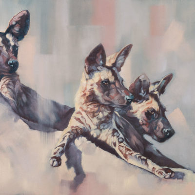 "Still Point", oil on canvas, original painting of three African Wild Dogs by Wendy Beresford