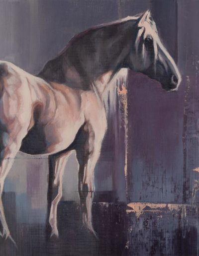 "Shadowfax", original oil painting on canvas, 250mm x 350mm, mounted and ready to frame, by Wendy Beresford