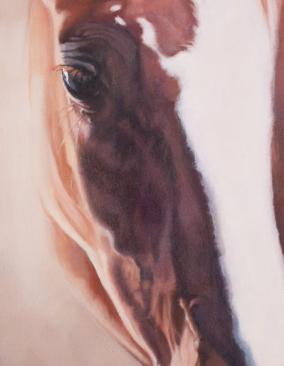 Close up portrait of chestnut horse with white blaze, oils on canvas, by Wendy Beresford Art