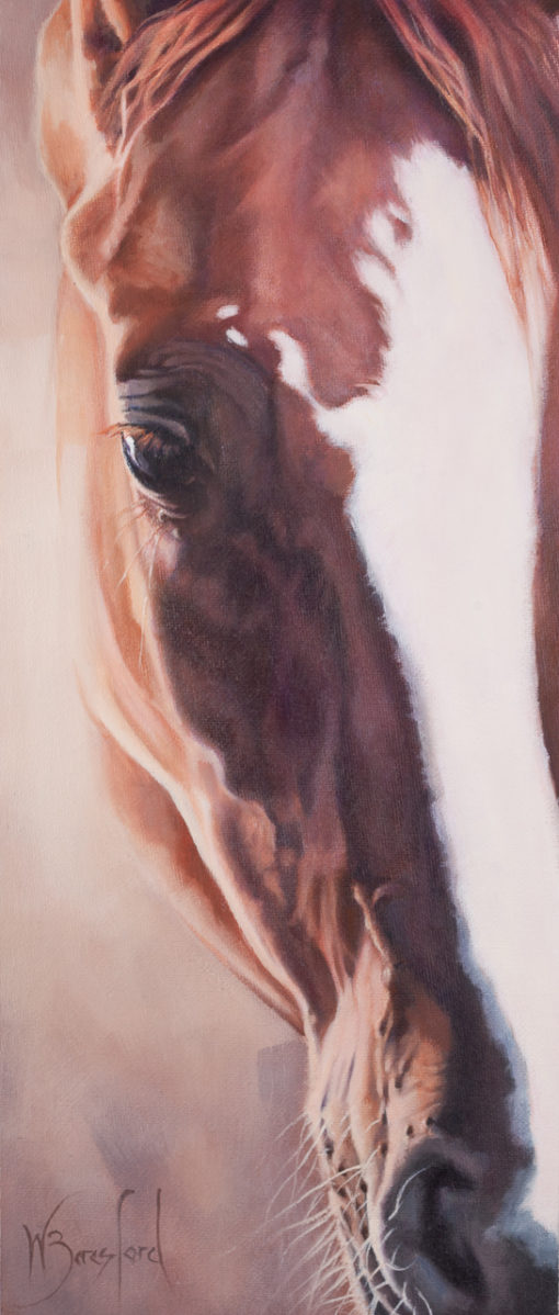 Close up portrait of chestnut horse with white blaze, oils on canvas, by Wendy Beresford Art