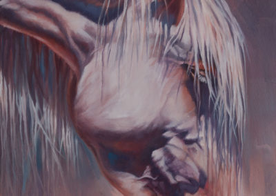 "Being", oil painting of Arizona wild horse by Wendy Beresford. Photo reference by Robert Rinsem