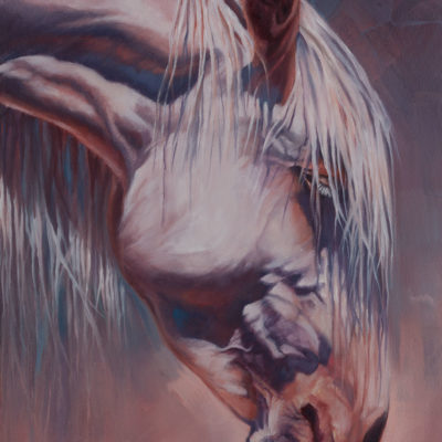 "Being", oil painting of Arizona wild horse by Wendy Beresford. Photo reference by Robert Rinsem