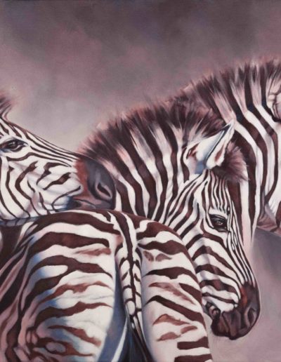 "Dawn Rising", original oil painting on canvas of three zebra at dawn by Wendy Beresford
