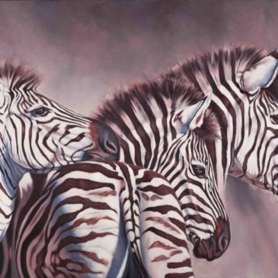 "Dawn Rising", original oil painting on canvas of three zebra at dawn by Wendy Beresford